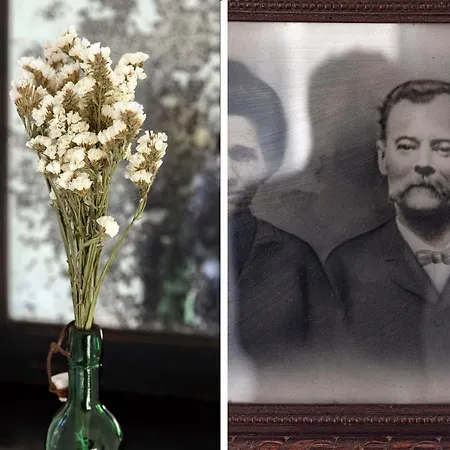 O Plum'art De Caractere