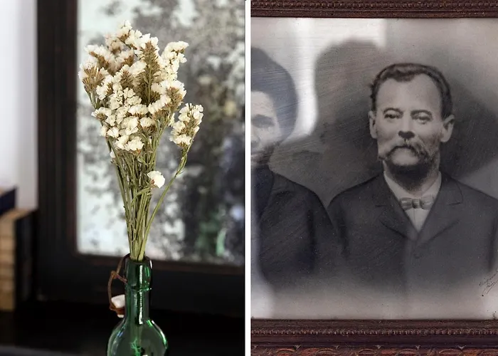 O Plum'art De Caractere